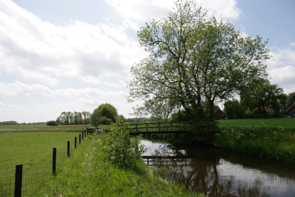 villapark weddermeer natuur