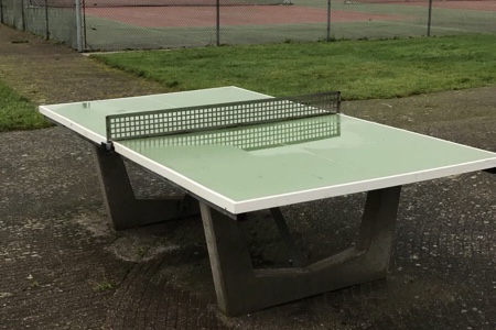 villapark weddermeer tafeltennis